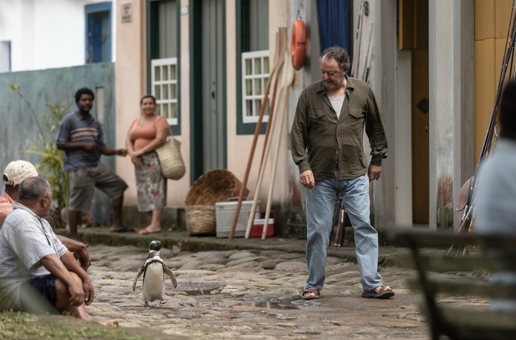 Pinguins brasileiras estrelam filme norte americano